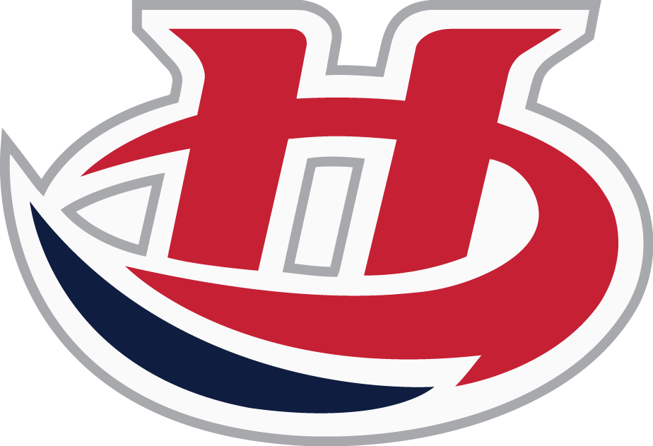 Lethbridge Hurricanes 2013 14-Pres Primary Logo vinyl decal